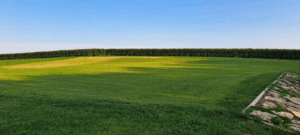 RAC Star Party (Friday October 24th, backup date Saturday 25th) @ Dean Johnson Memorial Observing Field | Fountain | Minnesota | United States